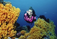 Dive Charter in Dubai